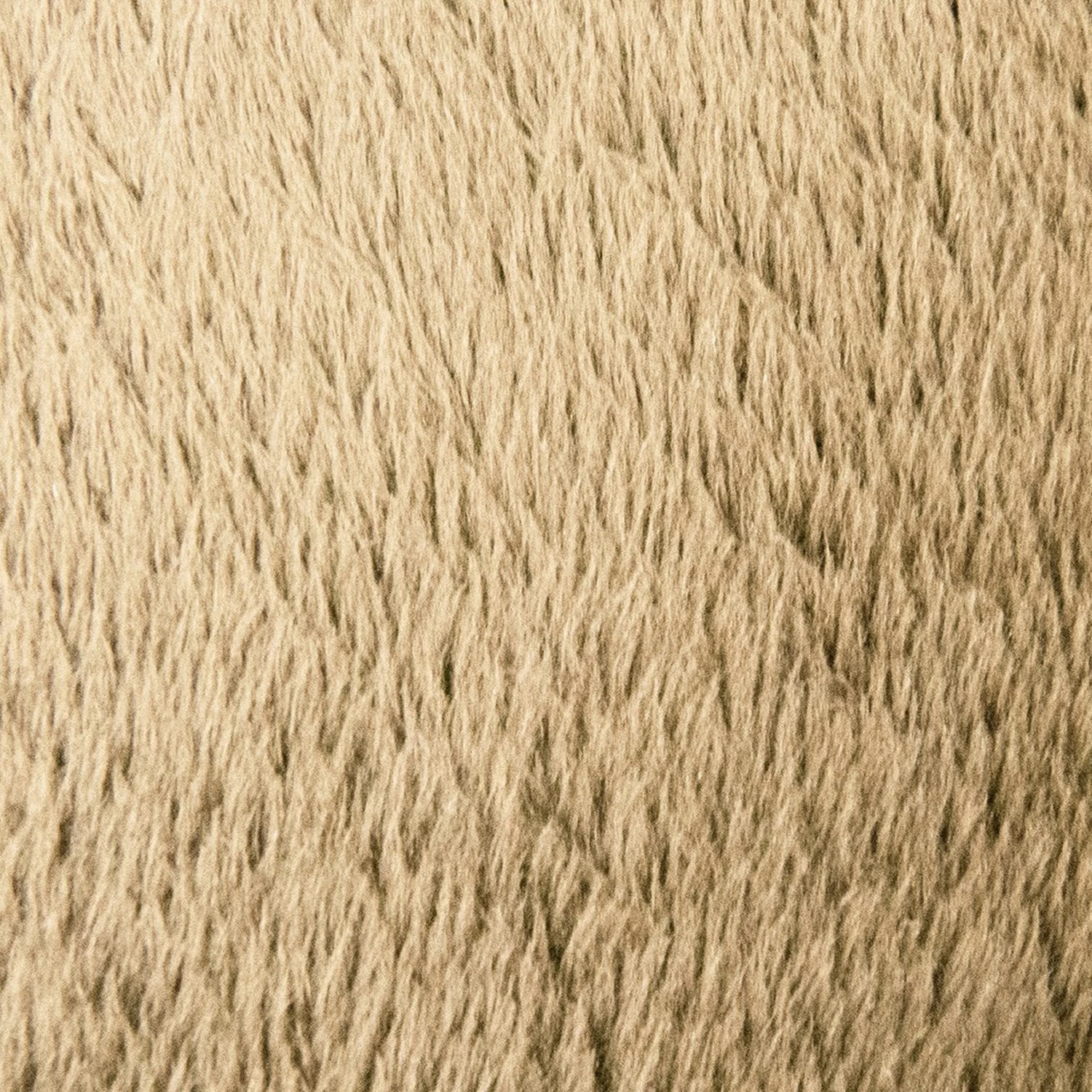 Thomas Payne® - Teddy Bear 74" X 50" RV Bunk Mattress Cover 4 Thomas Payne® - Teddy Bear 74" X 50" RV Bunk Mattress Cover - Image 2